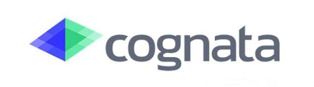 Cognata完成500万美元融资，发力自动驾驶汽车VR测试平台