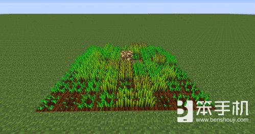 我的世界种植技巧 如何快速种植小麦