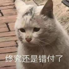 http://f1.benshouji.com/image/2021/0906/163091119786872.png